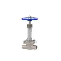 Cryogenic globe valves